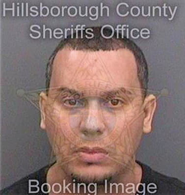 Blondetortiz Roberto - Hillsborough County, FL 