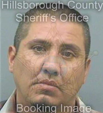 Gonzalez Salvador - Hillsborough County, FL 