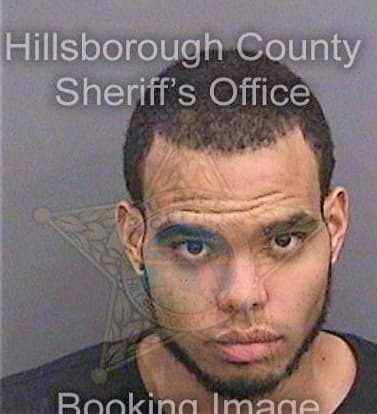 Dejesus Carmello - Hillsborough County, FL 