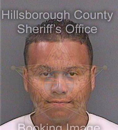 Vega Brian - Hillsborough County, FL 