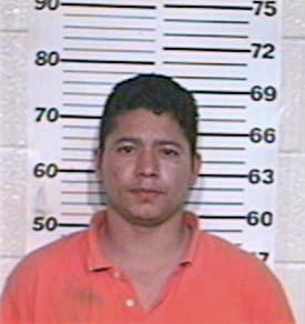 Guajardo Stephen - Hidalgo County, TX 