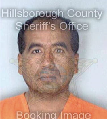 Vargas Gerardo - Hillsborough County, FL 