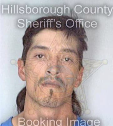 Lopez Miguel - Hillsborough County, FL 