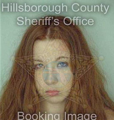Mcdonald Lindsay - Hillsborough County, FL 
