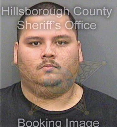 Dealejandro Raul - Hillsborough County, FL 