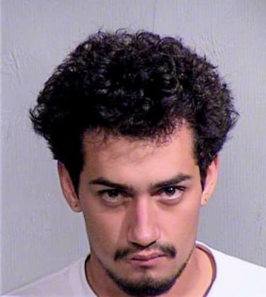 Gonzalez Jesus - Maricopa County, AZ 