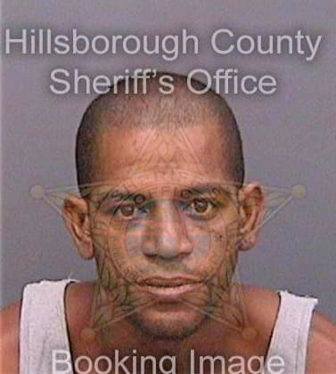 Vega Jose - Hillsborough County, FL 