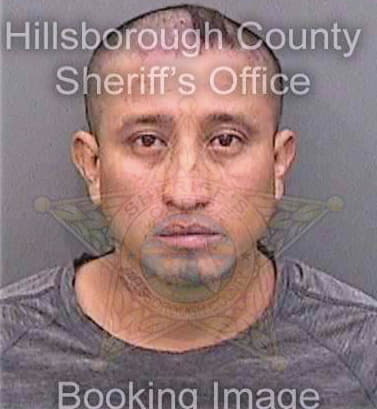 Lopezrodriguez Olver - Hillsborough County, FL 