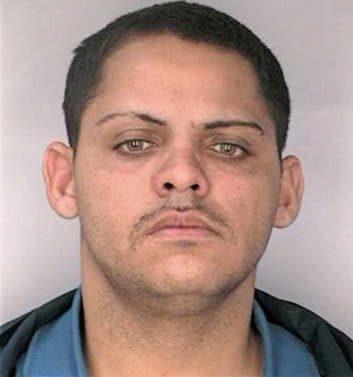 Charneco Eliezer - Hillsborough County, FL 