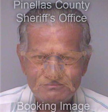 Patel Vadankumar - Pinellas County, FL 