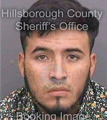 Perezmartinez Reynaldo - Hillsborough County, FL 