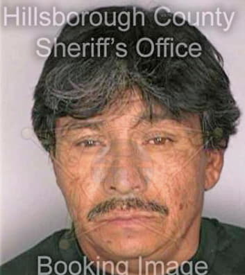 Perez Genaro - Hillsborough County, FL 