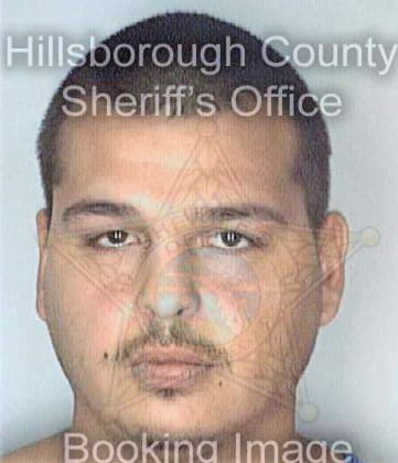 Fortier Anthony - Hillsborough County, FL 