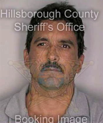 Hernandez Michael - Hillsborough County, FL 