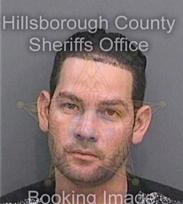 Bombinohernandez Daniuvis - Hillsborough County, FL 
