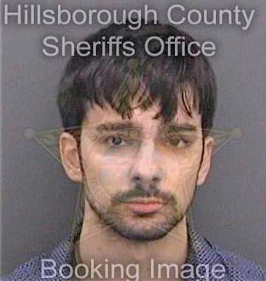 Pantelis Alexander - Hillsborough County, FL 