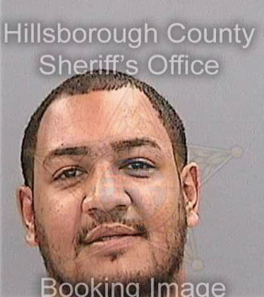 Gomez Carlos - Hillsborough County, FL 