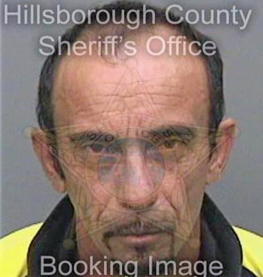 Mesadelsol Fausto - Hillsborough County, FL 