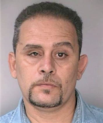 Millan Felix - Hillsborough County, FL 