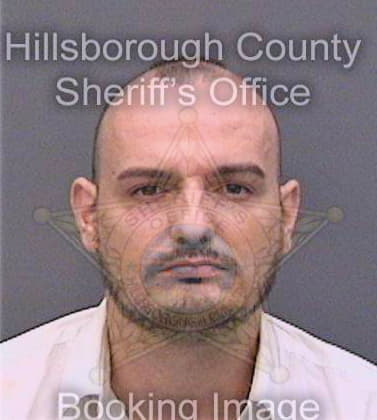 Prostran Goran - Hillsborough County, FL 