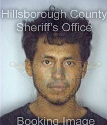 Gonzalezgarcia Gilberto - Hillsborough County, FL 