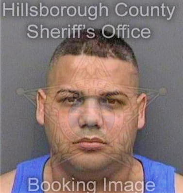 Manso Jorge - Hillsborough County, FL 