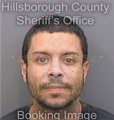 Lopez Brian - Hillsborough County, FL 