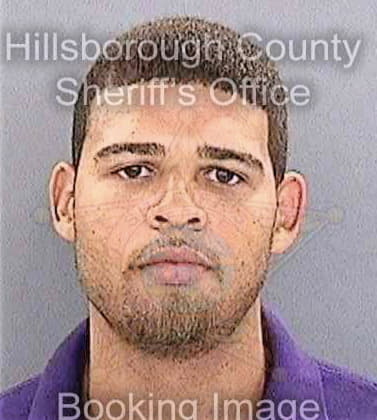 Richardson Tyran - Hillsborough County, FL 