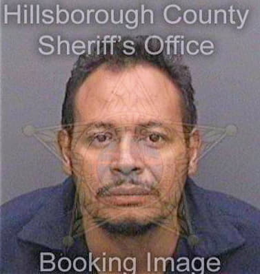 Menciarivera Olvan - Hillsborough County, FL 