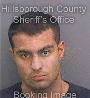 Mehrotra Akash - Hillsborough County, FL 