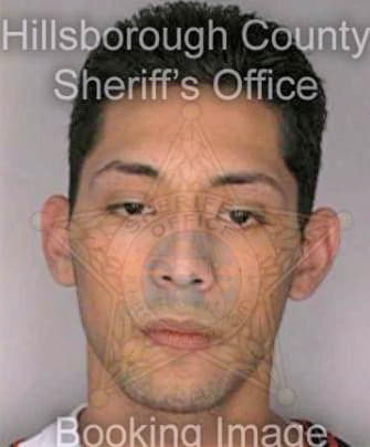 Vargas Victor - Hillsborough County, FL 