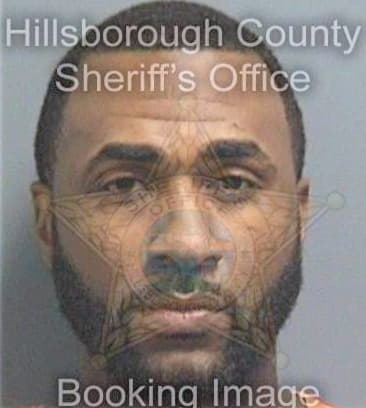 Daniels Theodore - Hillsborough County, FL 