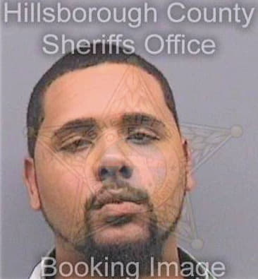 Perez Demario - Hillsborough County, FL 