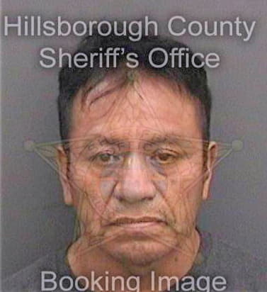 Ramirez Armando - Hillsborough County, FL 