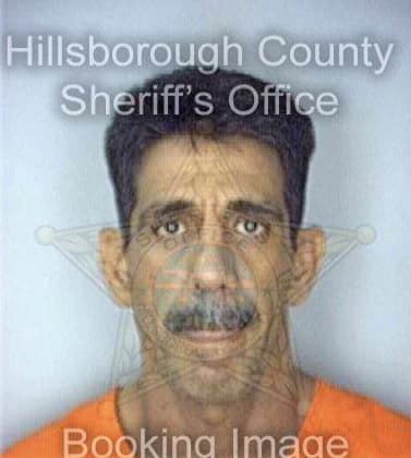 Blanco Regino - Hillsborough County, FL 