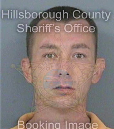 Mcgall Henry - Hillsborough County, FL 
