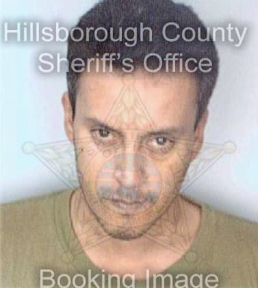 Guitron Enrique - Hillsborough County, FL 