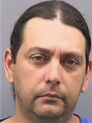 Vasallo Yosvany - Hillsborough County, FL 