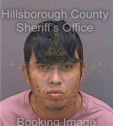 Cruzcastillo Jose - Hillsborough County, FL 