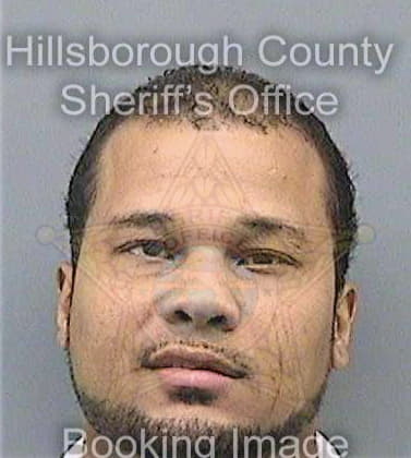 Diaz Enrique - Hillsborough County, FL 