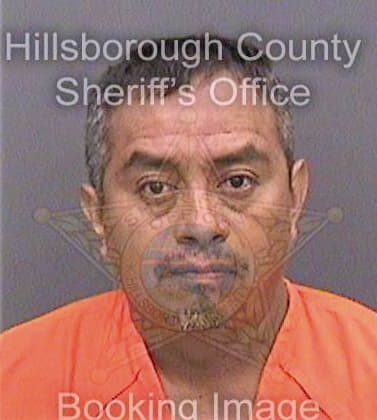 Garcia Aaron - Hillsborough County, FL 