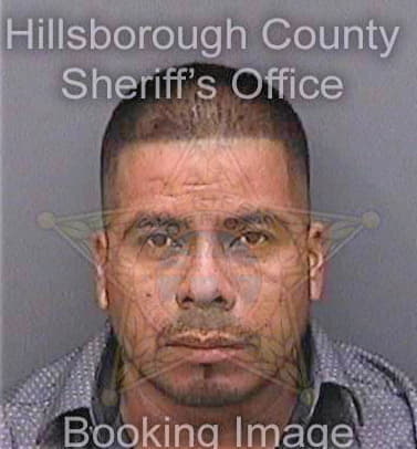 Gonzalez Esteban - Hillsborough County, FL 