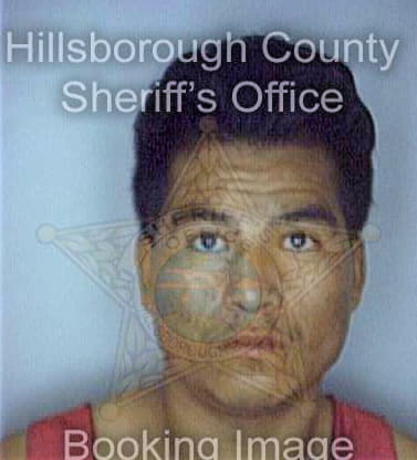 Santiago Pedro - Hillsborough County, FL 