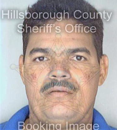 Veloz Luis - Hillsborough County, FL 