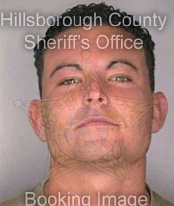 Stead David - Hillsborough County, FL 