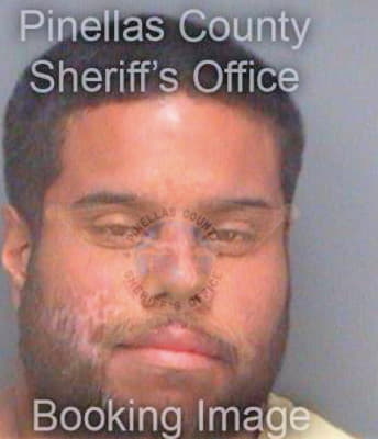 Gonzalez Emanuel - Pinellas County, FL 