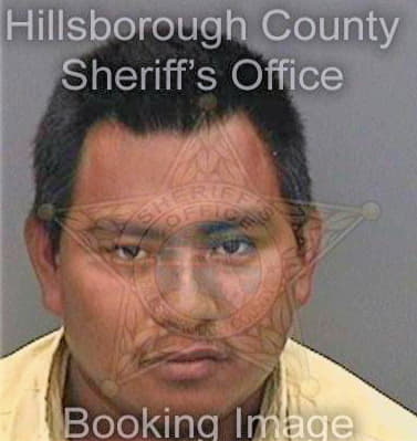 Perez Bilmar - Hillsborough County, FL 