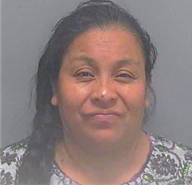 Juan Paulina - Lee County, FL 