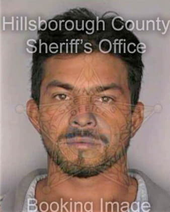 Lopez Ramiro - Hillsborough County, FL 