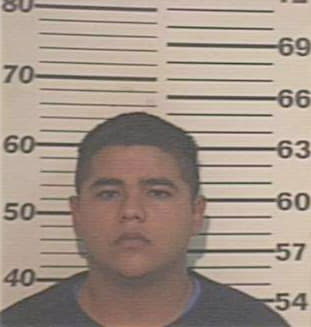 Olivarez Luis - Hidalgo County, TX 